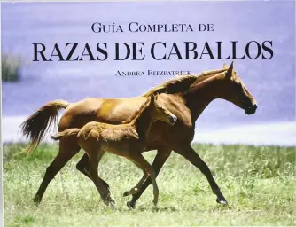 Imagen del producto 9788495677938-30375
