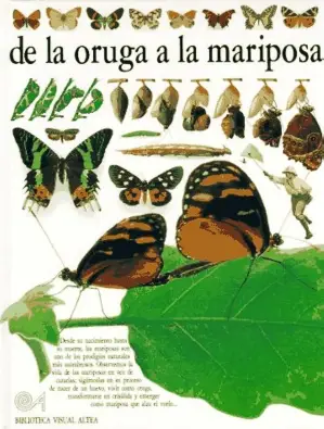 Imagen del producto 9788437237091-11242