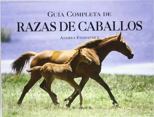 Imagen del producto 9788495677938-30375